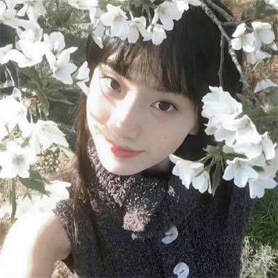 山杏